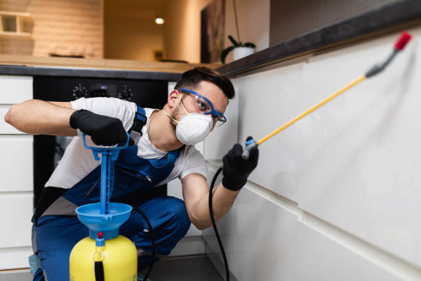 Professional Pest Control in Edgewater, NJ